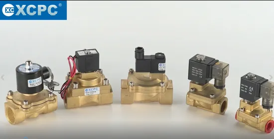 2L Series High Temperature Fluid Steam Solenoid Valve 